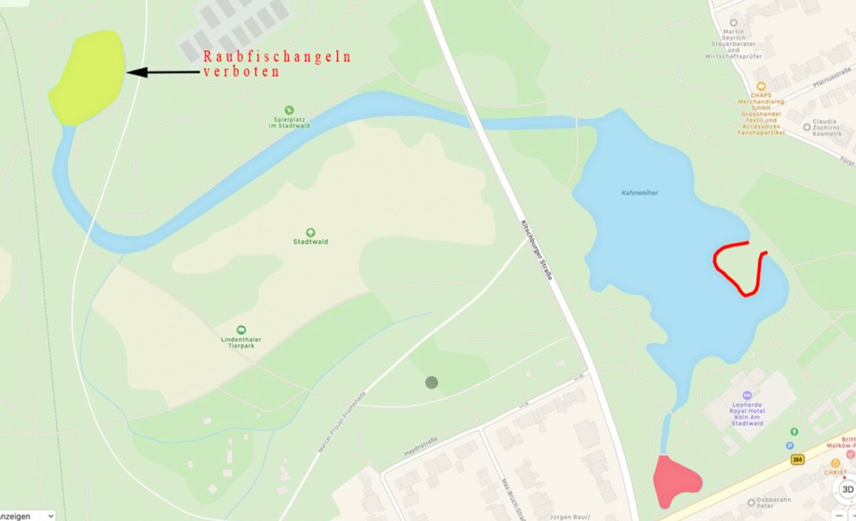 Gewässerkarte Stadtwaldweiher mit markierten Bereichen